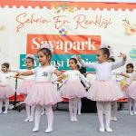 Yenişehir'de Yılbaşı Festivali Coşkusu Yaşandı