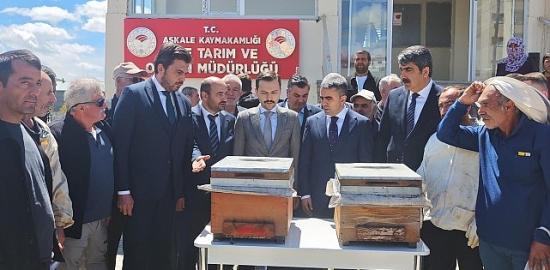 Akfen Yenilenebilir Enerji'den Dünya Arı Günü Kapsamında Aşkale'de Üreticilere Yüzde 70 Hibeli Arılı Kovan Desteği