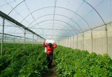 Adıyaman’da Sera Projesi için başvurular devam ediyor