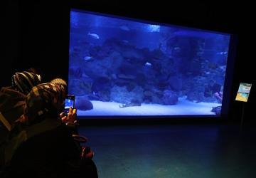 Engelliler, su altı dalışı yaparak yeteneklerini sergiledi