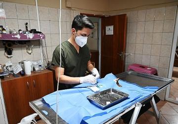 Kemer Belediyesi “Can dostlarına" sahip çıkıyor