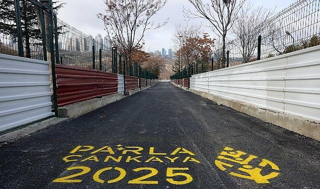 Çankaya Belediyesi Barınak Kapasitesini 1.500'e Çıkardı