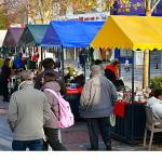'Üreten Kadın Meydanı' Zübeyde Hanım Parkı'nda