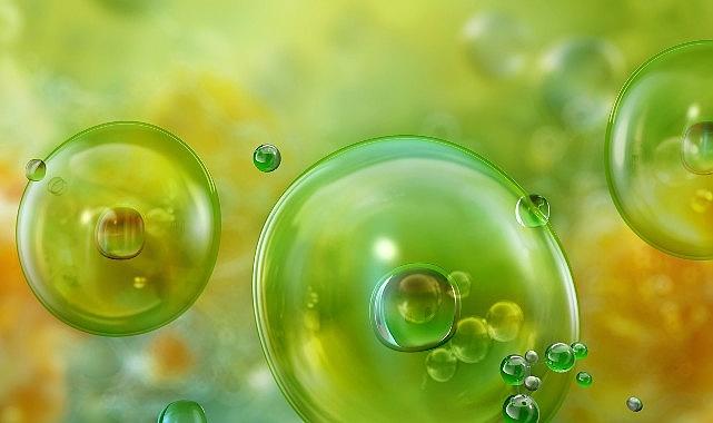 Akdeniz'de Görülen Mikroalgler ve Olası Sağlık Riskleri