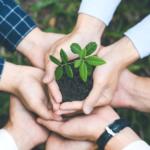 Çevre koruma harcamaları 2024’te 441 milyar TL’ye ulaştı