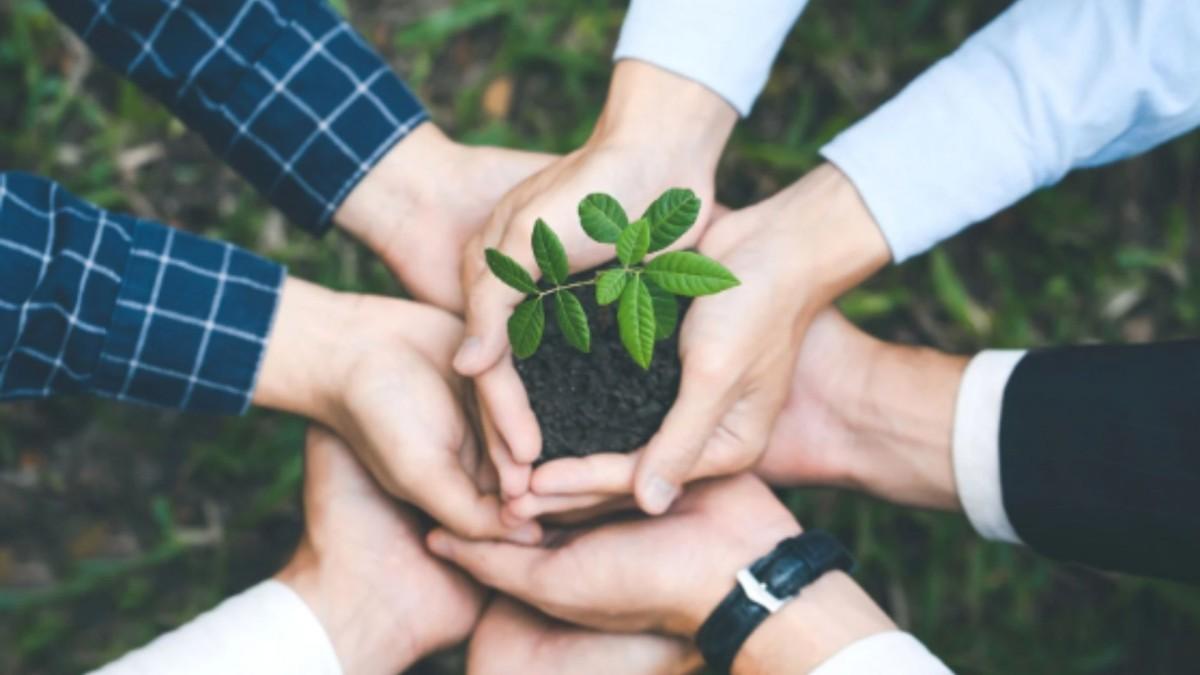 Çevre koruma harcamaları 2024’te 441 milyar TL’ye ulaştı