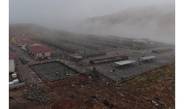 Sokak Hayvanları İçin Modern, Sağlıklı ve Doğal Yaşam Projesi Başladı