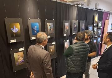 Kemer'de yıl sonu resim sergisi