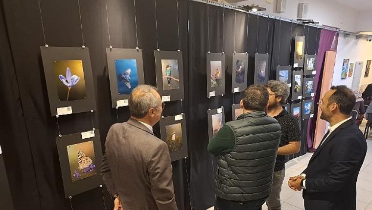 Kemer'de yıl sonu resim sergisi