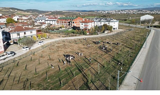 572 Fidanlı Koruluk Akhisar'a Nefes Olacak