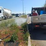 Adıyaman’da haşereye karşı yoğun ilaçlama mesaisi - Videolu Haber