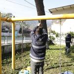 Başkan Çerçioğlu'ndan Koçarlı'ya 'Yeşil' Dokunuş: Çalışmalar Devam Ediyor