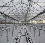 Termal Sera İle Verimli Üretim Başlıyor