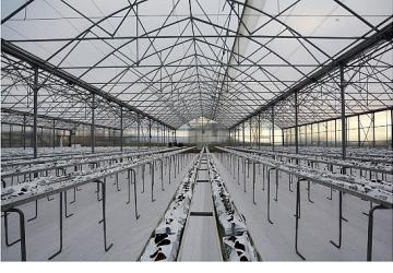 Termal Sera İle Verimli Üretim Başlıyor