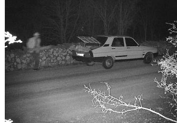 OGM'den kaçak kesimlere karşı 7/24 koruma