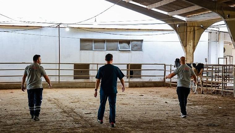 Büyükşehir'in kurban yakalama timi göreve hazır