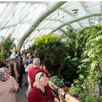 Selçuklu yüz binlerce kişiyi ağırladı