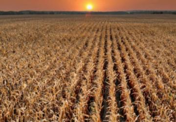 Kırsal kalkınma desteklerinde yeni dönem: Hibe oranları %70’e çıkıyor