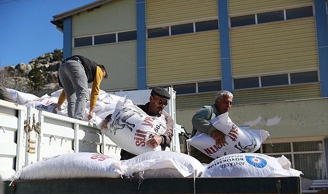 Büyükşehir'den 2025 yılında hayvancılığa 503 bin 625 kg yem desteği