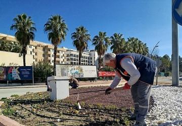 Kemer'de yeşil alanlarda bakım çalışması