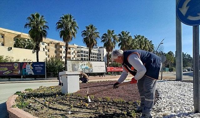 Kemer'de yeşil alanlarda bakım çalışması