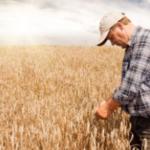 Adıyaman Tarım ve Orman İl Müdürlüğü’nden ÇKS uyarısı: 31 Aralık’ta sona eriyor