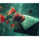 Eskiden Yeniye: Kaspersky Oltalama Tehditlerinin Dönüşümünü Mercek Altına Alıyor