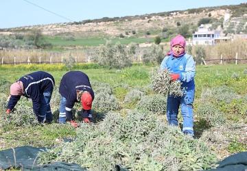 Didim Belediyesi'nden 'Üreten Belediyecilik' Uygulaması