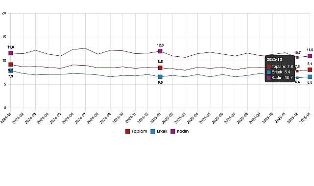 İşgücü İstatistikleri, Ocak 2026