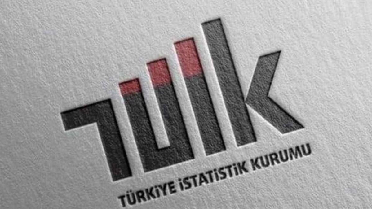 TÜİK gelir dağılımı istatistikleri açıklandı: Gelir eşitsizliği en fazla İç Anadolu'da
