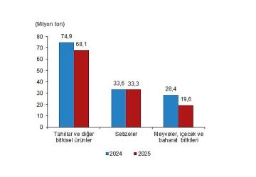 Bitkisel Üretim İstatistikleri, 2025