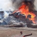 Besni’de tütün üretim tesisinde yangın çıktı - Videolu Haber