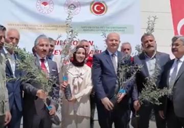 Adıyaman’da çiftçilere arılı kovan ve zeytin fidanı desteği - Videolu Haber