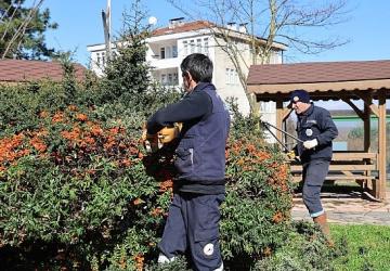 Kartepe'de Çevre Düzenlemesi