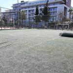 Günübirlik alandaki halı saha yenileniyor