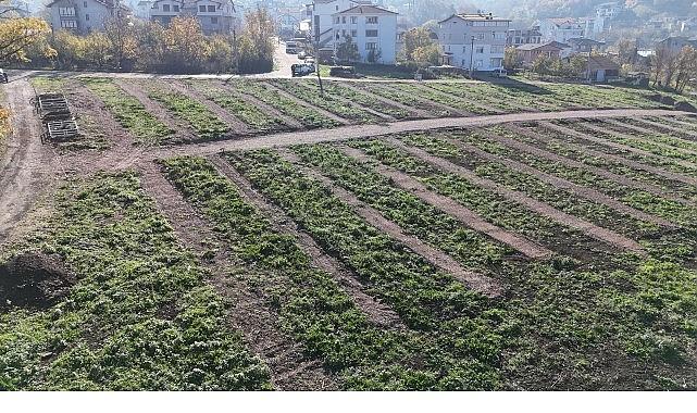 Büyükşehir'den Gölcük'e yeni mezarlık alanları