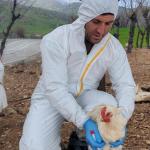 Adıyaman’da kanatlı hayvanlarda kuş gribi izleme çalışmaları devam ediyor