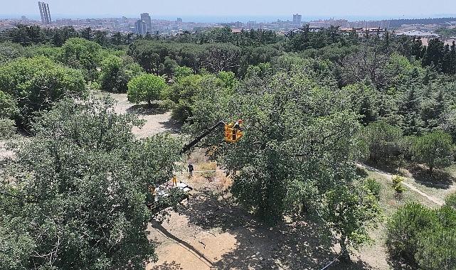 "Üsküdar Belediyesi'nin “Validebağ Korusu"nda Yaptığı Çalışmalar Avrupa'nın En İyi Uygulamaları Arasında