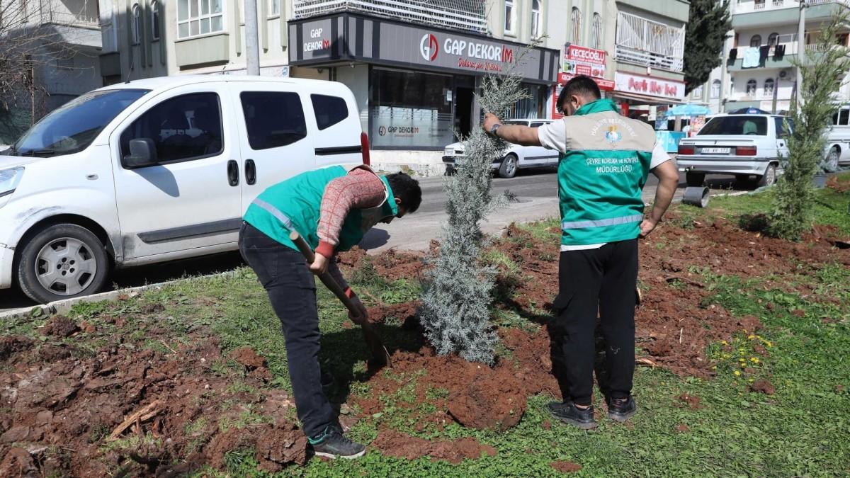 Haliliye’de yaz öncesi parklarda bakım çalışmaları devam ediyor