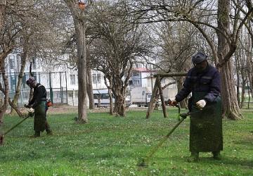 Kartepe'de Bahar Temizliği Yabani Ot ve Dikenler Temizleniyor
