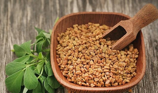 Prof. Dr. Nurhan Ünüsan; “Demirhindi, Bamya ve Çemen Otu, Mikroplastiklere Karşı Doğal Çözüm Sunuyor"