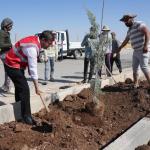 ADIYAMAN (PHA) - Murat KAYIŞ – Adıyaman Belediye Başkanı Av.