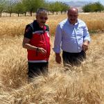 ADIYAMAN (PHA) - Fatma Didar YILDIRIM – Adıyaman Tarım ve Orman İl Müdürü Abdulkadir Akkan, beraberindeki heyetle birlikte sertifikalı tohum üretimi alanında faaliyet gösteren Metan Tarım firmasının Ar-Ge sahasında yürüt...