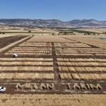 ADIYAMAN (PHA) - Fatma Didar YILDIRIM – Adıyaman Tarım ve Orman İl Müdürü Abdulkadir Akkan, beraberindeki heyetle birlikte sertifikalı tohum üretimi alanında faaliyet gösteren Metan Tarım firmasının Ar-Ge sahasında yürüt...