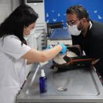 ADIYAMAN (PHA) - Gülbahar SÜNGÜ - Adıyaman Belediyesi Veteriner İşleri Müdürlüğü, Belediye Başkanı Av.