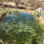 ADIYAMAN (PHA) - Musa GÜRBÜZ – Adıyaman’da kırsal alanlarda halk sağlığını tehdit eden karasinek ve sivrisineklere karşı yürütülen mücadele çalışmaları, ilgili kurumların işbirliğiyle kapsamlı şekilde sürdürülüyor.