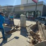 ADIYAMAN (PERRE) - Şeriban ÖZÇAKMAK - Adıyaman Belediyesi, yaklaşan yağış sezonu öncesinde kent genelindeki tüm rögar ve yağmur suyu bacalarında kapsamlı temizlik çalışması başlattı.