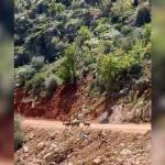 ADIYAMAN (PHA) - Adıyaman'ın Besni ilçesinde Su Gözü Orman Parkında, sürü halindeki dağ keçileri vatandaşlar tarafından görüntülendi.