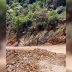 ADIYAMAN (PHA) - Adıyaman'ın Besni ilçesinde Su Gözü Orman Parkında, sürü halindeki dağ keçileri vatandaşlar tarafından görüntülendi.
