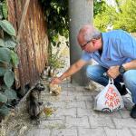 ADIYAMAN (PERRE) - Şeriban ÖZÇAKMAK - Adıyaman Nemrut Rotary Kulübü, "Sokaktaki Canlar" projesiyle deprem sonrası mama bulmakta zorlanan sokak hayvanlarına destek olarak kentte merhametin sesi oldu.